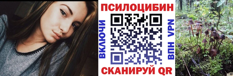 купить   Феодосия  Псилоцибиновые грибы Cubensis 