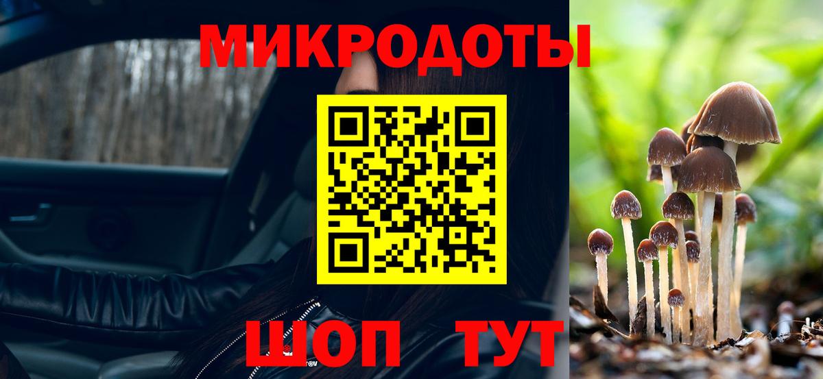 Псилоцибиновые грибы Psilocybe Феодосия
